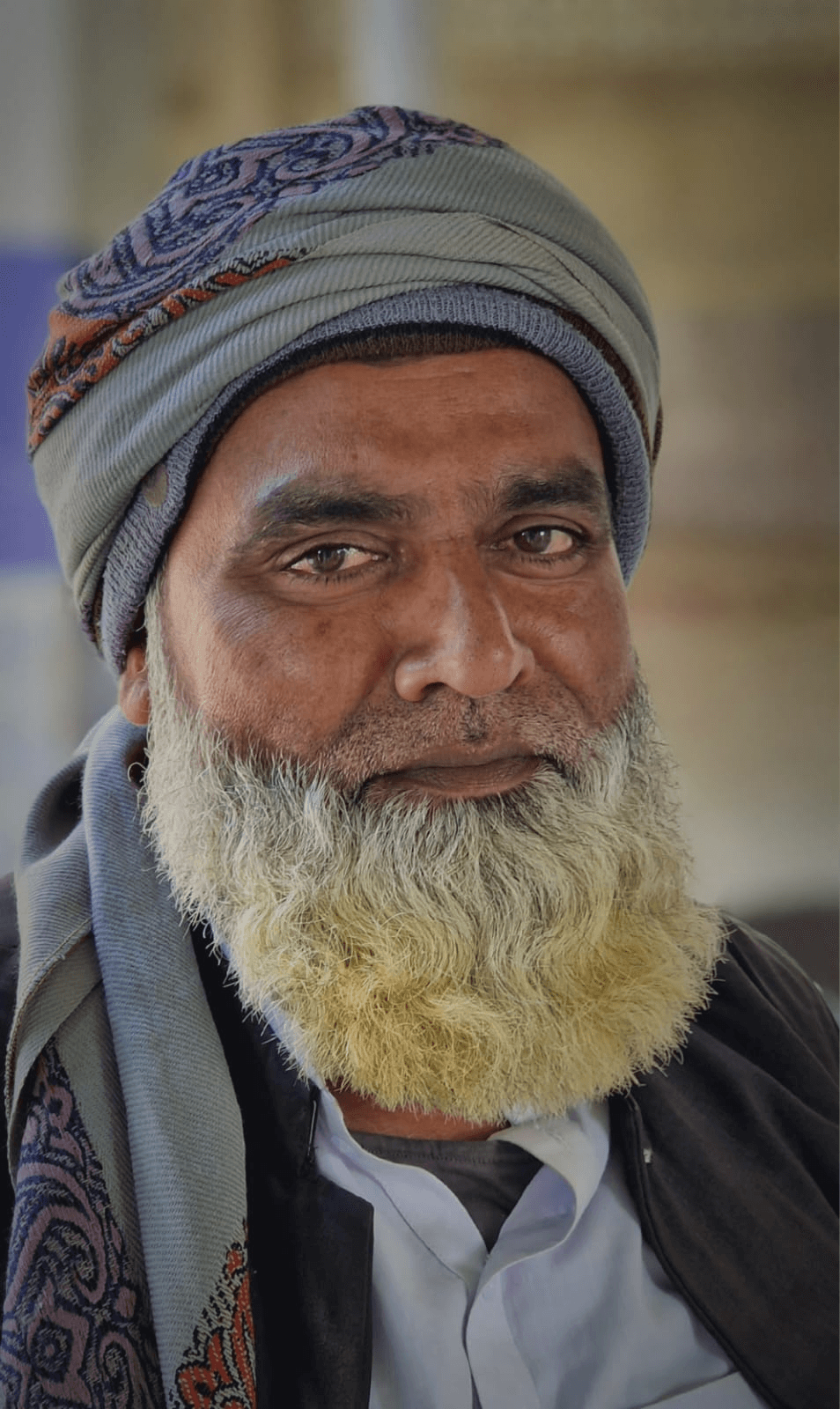 pkz _ freddy naeghels _ sindhi.png